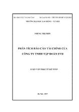 Luận văn Phân tích Báo cáo tài chính của Công ty TNHH tập đoàn EVD