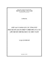 Luận án Chế tạo và khảo sát các tính chất phát quang, quang điện và điện hóa của các lớp chuyển tiếp dị chất cấu trúc nanô
