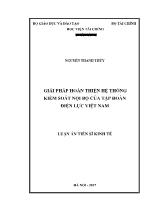 Luận án Giải pháp hoàn thiện hệ thống kiểm soát nội bộ của tập đoàn điện lực Việt Nam