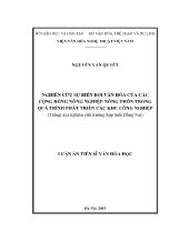 Luận án Nghiên cứu sự biến đổi văn hóa của các cộng đồng nông nghiệp - nông thôn trong quá trình phát triển các khu công nghiệp (Thông qua nghiên cứu trường hợp tỉnh Đồng Nai)