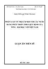 Luận án Pháp luật về trợ cấp đối với các nước đang phát triển theo quy định của WTO – Bài học với Việt Nam