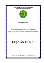 Luận án Phát triển sản xuất rau theo hướng thực hành nông nghiệp tốt tại tỉnh Hòa Bình