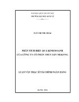 Luận văn Phân tích hiệu quả kinh doanh của Công ty Cổ phần thủy sản Mekong