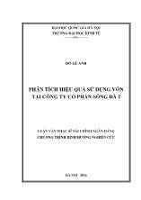 Luận văn Phân tích hiệu quả sử dụng vốn tại Công ty Cổ phần sông Đà 2