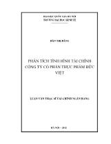 Luận văn Phân tích tình hình tài chính Công ty cổ phần thực phẩm Đức Việt