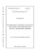 Luận văn Phát triển cho vay tiêu dùng tại Ngân hàng Nông nghiệp và Phát triển nông thôn Việt Nam – Chi nhánh Thừa Thiên Huế