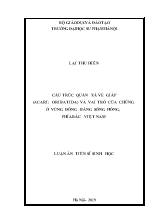 Luận án Cấu trúc quần xã ve giáp (acari: Oribatida) và vai trò của chúng ở vùng đồng bằng sông Hồng, phía Bắc Việt Nam