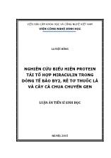 Luận án Nghiên cứu biểu hiện protein tái tổ hợp miraculin trong dòng tế bào BY2, rễ tơ thuốc lá và cây cà chua chuyển gen