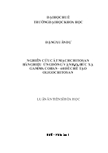 Luận án Nghiên cứu cắt mạch chitosan bằng hiệu ứng đồng vận H2O2 / bức xạ gamma coban – 60 để chế tạo oligochitosan