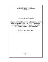 Luận án Nghiên cứu chế tạo vật liệu lưỡng chức năng hấp phụ - Xúc tác trên cơ sở oxit đồng và than hoạt tính để xử lý các chất ô nhiễm hữu cơ dễ bay hơi