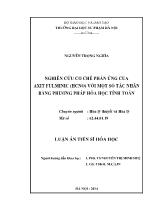 Luận án Nghiên cứu cơ chế phản ứng của axit fulminic (hcno) với một số tác nhân bằng phương pháp hóa học tính toán