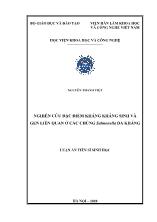 Luận án Nghiên cứu đặc điểm kháng kháng sinh và gen liên quan ở các chủng salmonella đa kháng