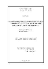 Luận án Nghiên cứu hiện trạng đất trống đồi núi trọc tỉnh thái nguyên và đề xuất các mô hình phủ xanh đất trống đồi trọc hợp lý