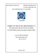 Luận án Nghiên cứu một số đặc điểm sinh học và xây dựng kỹ thuật sản xuất giống cá chuối hoa channa maculata (lacepède, 1801)