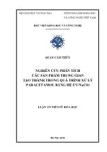 Luận án Nghiên cứu phân tích các sản phẩm trung gian tạo thành trong quá trình xử lý paracetamol bằng hệ uv / naclo