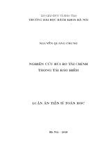 Luận án Nghiên cứu rủi ro tài chính trong tái bảo hiểm