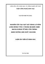 Luận án Nghiên cứu tạo hạt giả virus lở mồm long móng type o trong hệ biểu hiện baculovirus tế bào côn trùng định hướng sản xuất vaccine