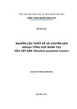 Luận án Nghiên cứu thiết kế và chuyển gen agpopt tổng hợp nhân tạo vào cây sắn (manihot esculenta crantz)