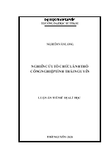 Luận án Nghiên cứu tổ chức lãnh thổ công nghiệp tỉnh Thái Nguyên