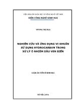 Luận án Nghiên cứu và ứng dụng vi khuẩn sử dụng hydrocarbon trong xử lý ô nhiễm dầu ven biển