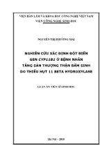 Luận án Nghiên cứu xác định đột biến gen CYP11B1 ở bệnh nhân tăng sản thượng thận bẩm sinh do thiếu hụt 11 beta hydroxylase