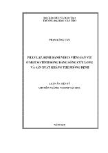 Luận án Phân lập, định danh virus viêm gan vịt ở một số tỉnh đồng bằng sông Cửu Long và sản xuất kháng thể phòng bệnh