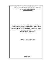 Luận án Phát hiện người mang đột biến gen Atp7b trong các thành viên gia đình bệnh nhân wilson