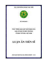 Luận án Phát triển sản xuất ngô hàng hóa gắn với bảo vệ môi trường tại vùng Tây Bắc Việt Nam