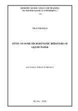 Luận án Study on some microdynamic behaviors of liquid water