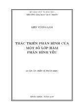 Luận án Thác triển phân hình của một số lớp hàm phân hình yếu