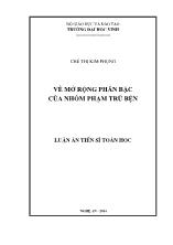 Luận án Về mở rộng phân bậc của nhóm phạm trù bện