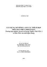 Luận án Xây dựng mô hình canh tác thích hợp trên đất phèn nhiễm mặn: Trường hợp nghiên cứu tại xã Lương Nghĩa, Vĩnh Viễn A và hỏa tiến của tỉnh Hậu Giang