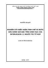 Nghiên cứu biểu hiện, tinh chế và bước đầu đánh giá đặc tính sinh học của interleukin - 11 người tái tổ hợp