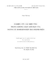 Nghiên cứu các hiệu ứng trong không gian giới hạn của ngưng tụ bose - Einstein hai thành phần