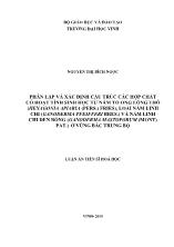 Phân lập và xác định cấu trúc các hợp chất có hoạt tính sinh học từ nâm tổ ong lông thô (hexagonia apiaria (pers.) fries), loài nấm linh chi (ganoderma pfeifferi bres.) và nấm linh chi đen bóng (ganoderma mastoporum (mont) pat.) ở vùng bắc trung bộ