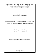 Tóm tắt Luận án Structural characterization of animal adenovirus fibre heads