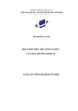 Luận án Hội nhập, tiêu thụ năng lượng và tăng trưởng kinh tế