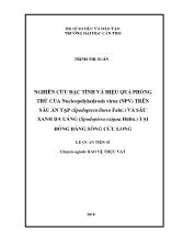 Luận án Nghiên cứu đặc tính và hiệu quả phòng trừ của nucleopolyhedrosis virus (npv) trên sâu ăn tạp (spodoptera litura fabr.) và sâu xanh da láng (spodoptera exigua hubn.) tại đồng bằng sông Cửu Long