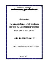 Luận án Tác động của cấu trúc sở hữu tới hiệu quả hoạt động của doanh nghiệp ở Việt Nam