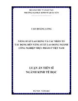 Năng suất lao động và các nhân tố tác động đến năng suất lao động ngành công nghiệp thực phẩm ở Việt Nam