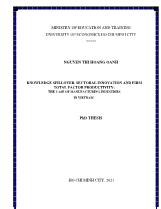 Knowledge spillover, sectoral innovation and firm total factor productivity: The case of manufacturing industries in Vietnam