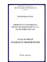 Luận án Ảnh hưởng của vốn nhân lực đến kết quả kinh doanh của các doanh nghiệp Việt Nam