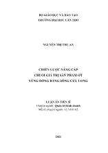 Luận án Chiến lược nâng cấp chuỗi giá trị sản phẩm ớt vùng đồng bằng sông Cửu Long