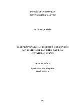 Luận án Giải pháp nâng cao hiệu quả chuyển đổi mô hình canh tác trên đất lúa ở tỉnh Hậu Giang