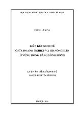 Luận án Liên kết kinh tế giữa doanh nghiệp và hộ nông dân ở vùng đồng bằng Sông Hồng