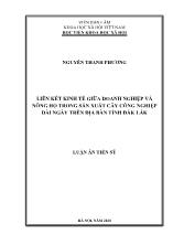 Luận án Liên kết kinh tế giữa doanh nghiệp và nông hộ trong sản xuất cây công nghiệp dài ngày trên địa bàn tỉnh Đắk Lắk