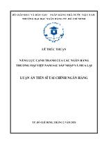 Luận án Năng lực cạnh tranh của các ngân hàng thương mại Việt Nam sau sáp nhập và mua lại