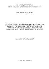 Luận án Năng suất của doanh nghiệp nhỏ và vừa ở Việt Nam: Vai trò của xuất khẩu, hoạt động đổi mới và môi trường kinh doanh