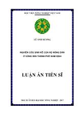 Luận án Nghiên cứu sinh kế của hộ nông dân tại vùng ven thành phố Nam Định