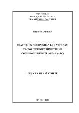 Luận án Phát triển nguồn nhân lực Việt Nam trong điều kiện hình thành cộng đồng kinh tế Asean (AEC)